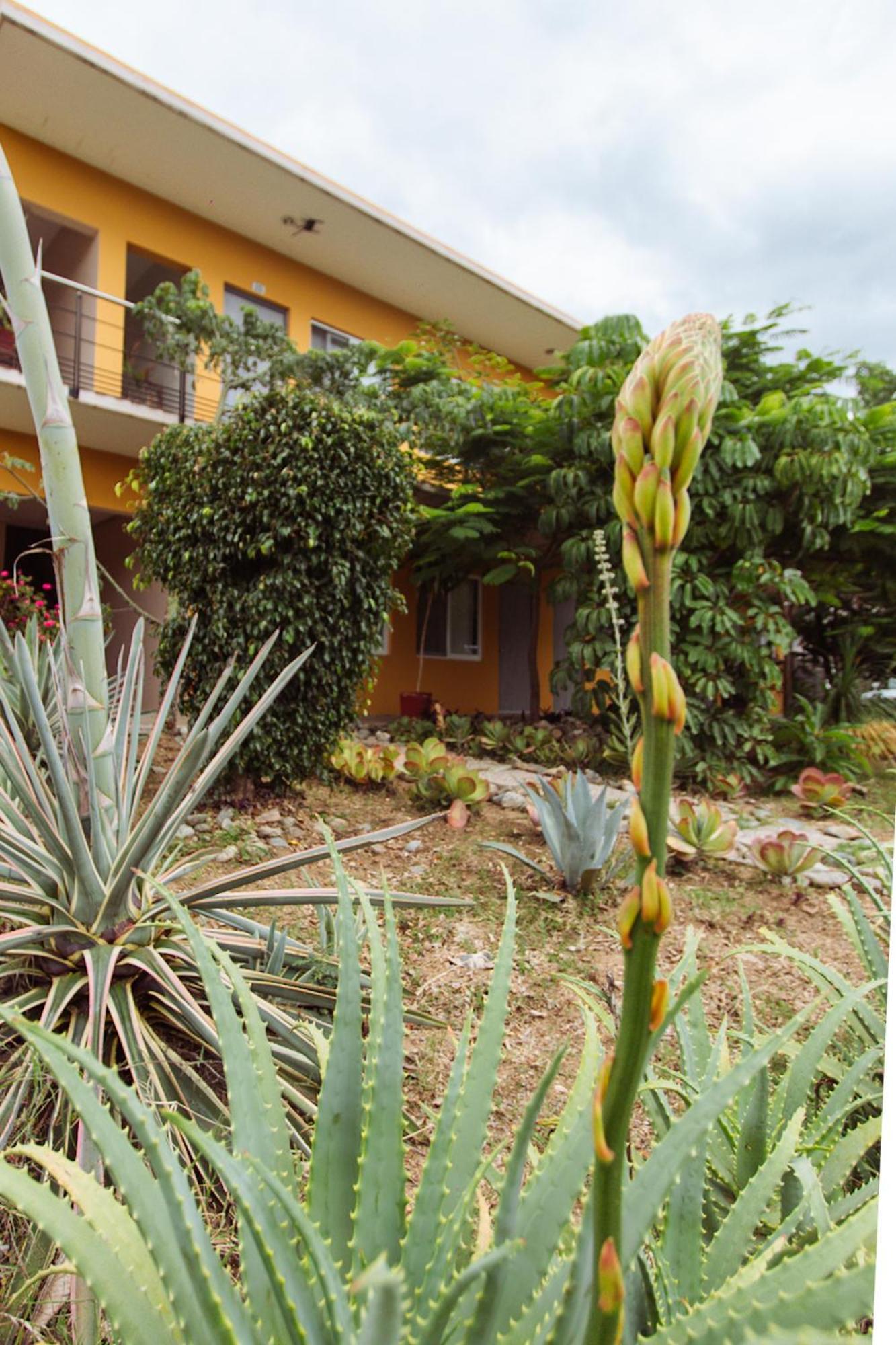 Hotel Guiva San Pablo Hacienda Blanca Extérieur photo